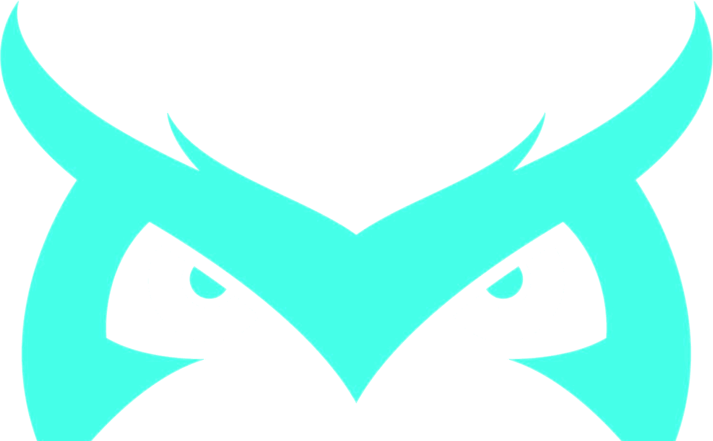 Midnight Marketing owl